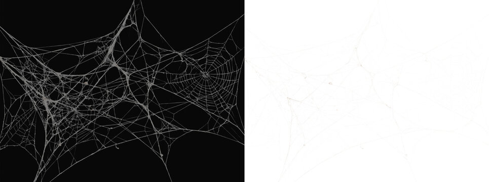 Transparent spider web overlay pattern for spooky holiday, horror cobweb background,  abandoned haunted house decor