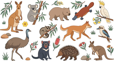 Obraz premium Collection of australian native animals and flora featuring kangaroo, koala, wombat, platypus, and cockatoo species