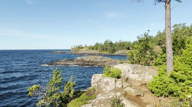 A pine tree stands on a rocky shore overlooking blue water. Waves lap gently against the stones at Valaam, Lake Ladoga. This peaceful scenery evokes calm serenity.