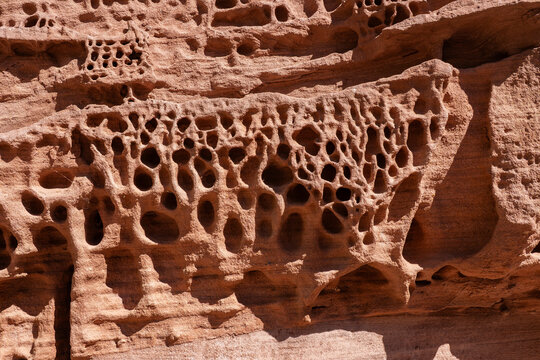 Eroded sandstone surface with honeycomb sediment pattern