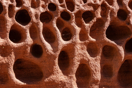 Eroded sandstone surface with natural cavities and texture