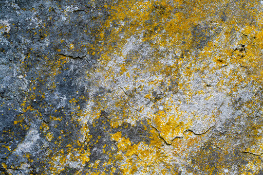 Abstract sediment pattern with gray and yellow geological texture