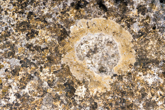 Circular sediment pattern in textured mineral rock surface