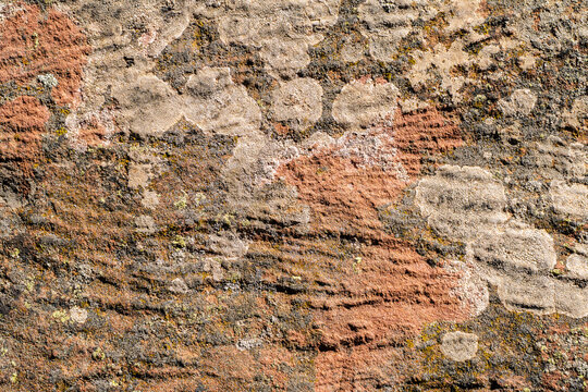 Weathered sediment pattern with mineral texture and earth tones