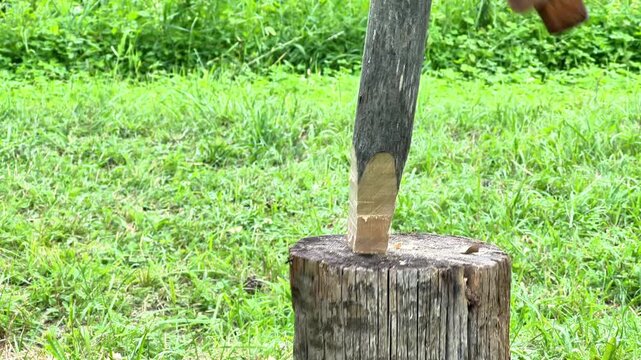 Man holding a wooden branch and shaping it into a pointed stake with an axe on a chopping log stump outdoors in a grassy backyard setting during homestead work.