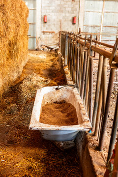 Empty cattle stall with feed trough in rustic farm barn