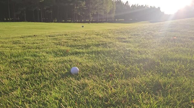 Golf ball on a green golf course during early morning with sunlight shining