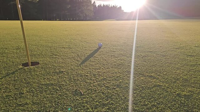 Golf ball rolling towards the hole on a green golf course with sunlight in the background