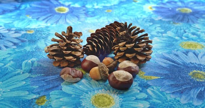 Still Life with Pine Cones, Chestnuts and Acorns.