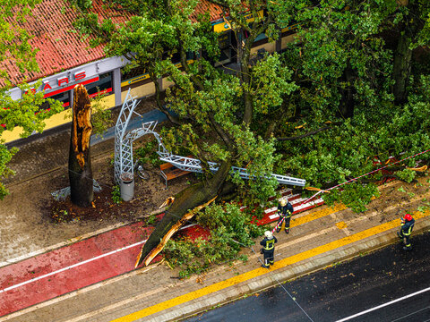 Riga, Latvia - 23 August 2026: Aerial view of a large tree fallen onto a metal structure on a sidewalk with firefighters assessing the damage.