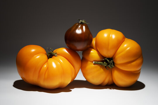 Heirloom tomato still life on minimalist studio background
