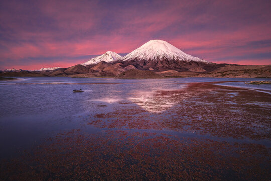 Parinacota Volcano above Lauca National Park wetland at dusk