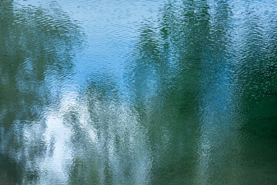 Tree reflection on rippling water surface