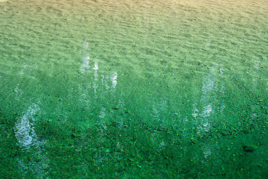 Green water surface with ripples and liquid texture