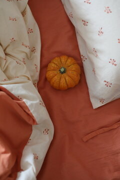 Warm bed and mini orange pumpkin, halloween and autumn cozy composition with plaid,blanket, pumpkin, october home decoration, cozy hygge background