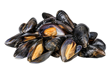 Large pile of fresh raw mussels, some open, showcasing their vibrant orange flesh against a clean white background © no one