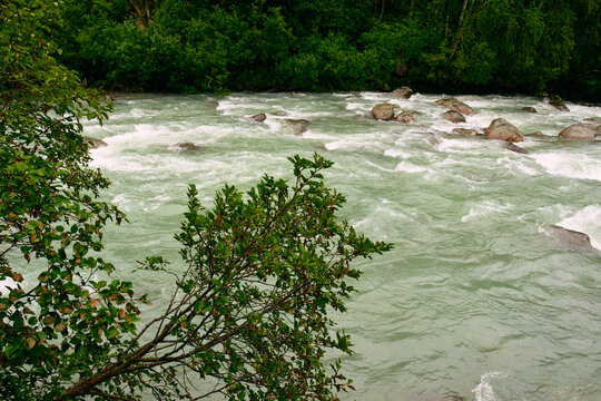 River rapids with green alder foliage in Hatcher Pass Alaska