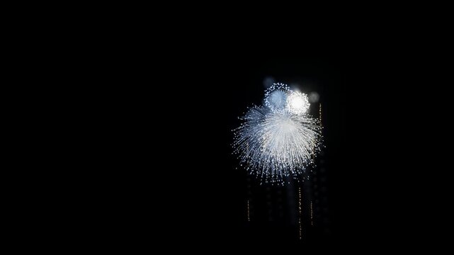 Federated States of Micronesia Flag Color Fireworks Left Copy Space