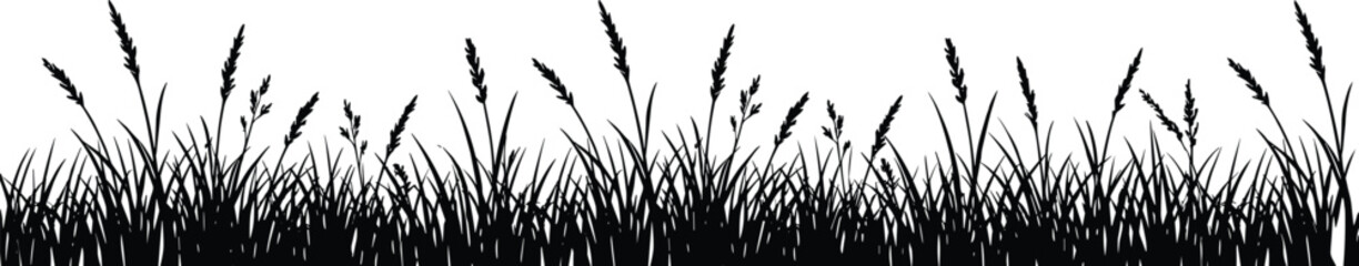 Obraz premium Seamless black silhouette of meadow grass and wild wheat stalks for nature border design concepts.