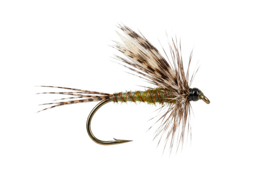 Meticulously crafted green and brown artificial fly fishing lure with feathers and a gold hook, isolated on a clean white background