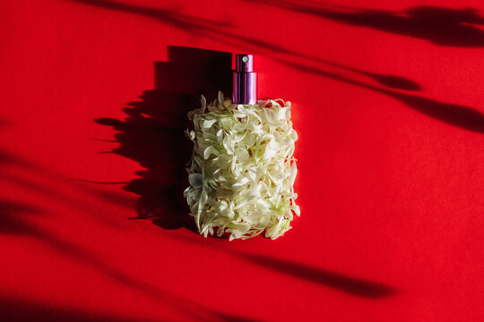 Perfume bottle wrapped in carnation petals on red background