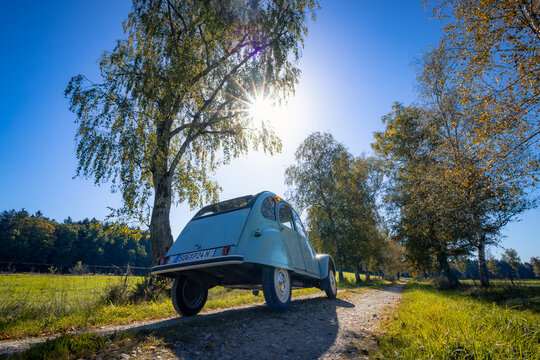 Citro&euml;n 2CV, sogenannte Ente, in einer Allee herbstlicher Birken