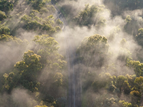 Winter fog and sunshine over forest near Campbells Creek