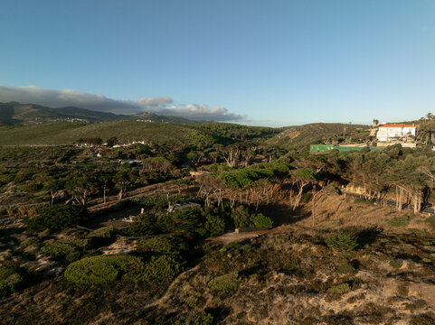Rural hillside landscape with house and pine forest in Portugal
