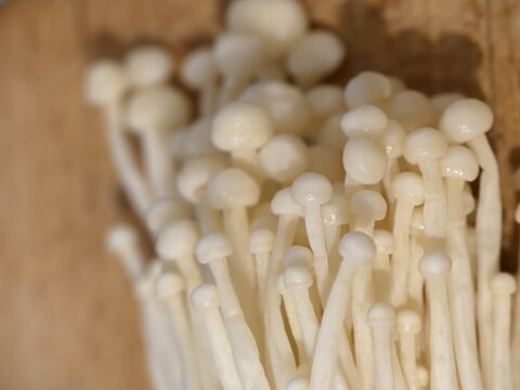 Fresh enoki mushrooms packed together, top view close-up