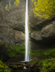 Latourell Falls cascades down a tall columnar basalt cliff surrounded by temperate forest in the Columbia River Gorge, Oregon. © steheap