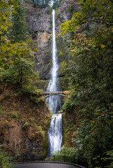 Multnomah Falls flows past Benson Footbridge over basalt cliffs in the Columbia River Gorge National Scenic Area Oregon. © steheap