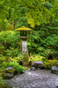 A traditional stone lantern stands among lush ferns and trees beside a paved terrace in the Portland Japanese Garden in Oregon.