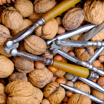 Walnuts with vintage metal nutcracker tools