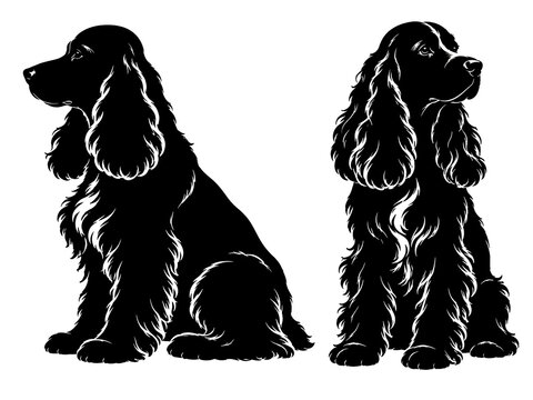 Two english cocker spaniel silhouettes facing different directions on a white background