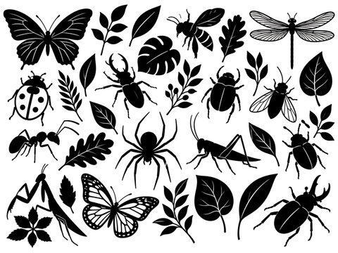 Black silhouettes of insects leaves and plants on a white background nature collection