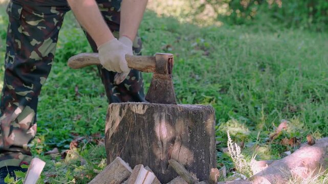 Gloved person splitting firewood with an axe on a tree stump in a sunlit grassy woodland clearing, outdoor forestry and manual labor activity