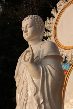 Vertical three-quarter waist-up portrait of a serene white Buddha statue looking to the left with an ornate golden nimbus halo.