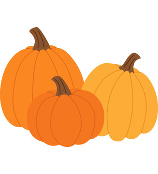 Trio of Autumn Pumpkins Vector Illustration Hand Drawn Fall Harvest Clipart for Thanksgiving