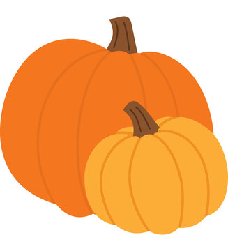 Pair of Orange Pumpkins Vector Illustration Cute Autumn Harvest Clipart for Fall and Thanksgiving Decor