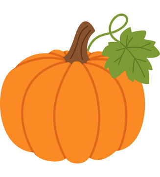 Cute Orange Pumpkin with Green Leaf Vector Illustration Autumn Harvest Clipart for Thanksgiving Decor