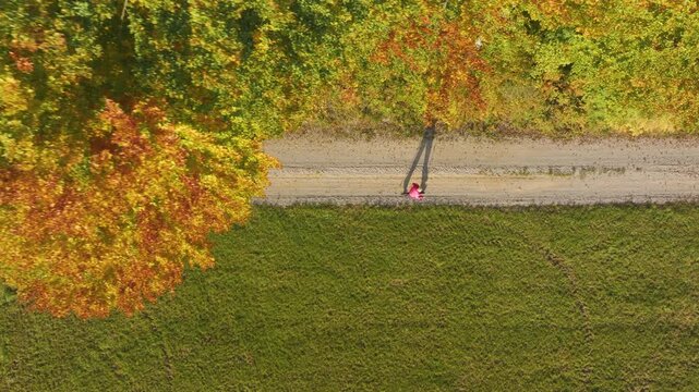 AERIAL TOP DOWN: Senior lady walks with poles along gravel country road in the autumn countryside. Active elderly woman during Nordic walking beneath colourful forest trees on sunny day in fall season