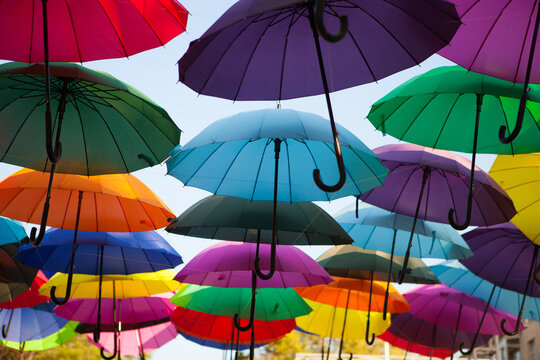 Colorful umbrellas suspended in a wide outdoor arrangement, vibrant decorative display, creative background, summer festival.