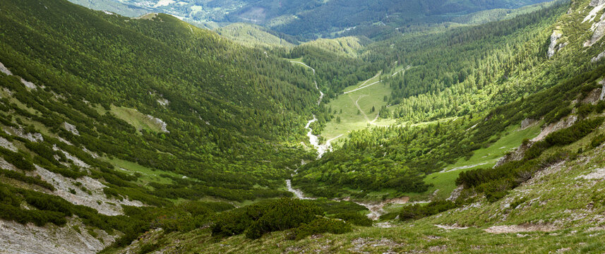 Steep Green Alpine Valley Descending between Rocky Mountain Slopes into Dense Forest in the Rax Alps Austria