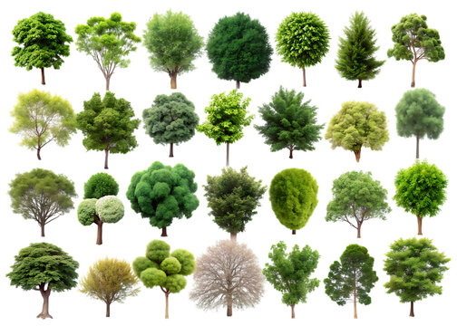 Various green trees on black background tree silhouettes