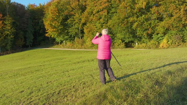 AERIAL, CLOSE UP: Active senior hiker uses a smartphone to capture the autumn scenery while standing in a green meadow. Walking poles rest at her side as golden sunlight illuminates colourful woodland