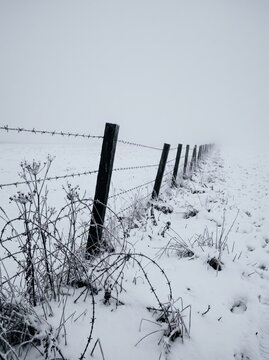 Barbed wire fence crossing a snow-covered field in dense winter fog. Rural boundary and land enclosure. Winter weather and cold climate. Snowbound countryside landscape.