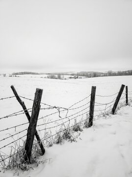 Barbed wire fence across a snow-covered rural field. Winter countryside with rolling farmland and bare trees. Snowy agricultural landscape. Monochrome winter scene. Rural farmland boundary.