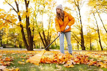 Fototapeta premium Woman in yellow jacket rakes leaves in park filled with colorful autumn foliage. Female volunteer clears away fallen leaves with yellow rake on autumn day. Concept of cleanup, ecology.