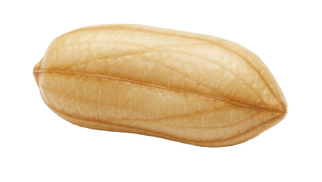 Single shelled peanut with textured skin, isolated on transparent background