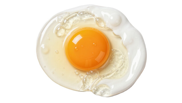 Fresh raw egg with bright orange yolk and clear albumen, isolated on transparent background